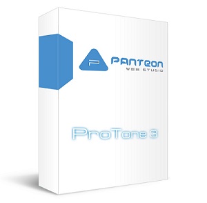PWS-ProTone-3-300 Создание сайтов